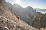 Alto Adige