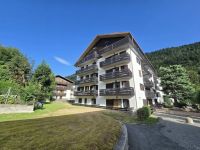 Appartamento in vendita a Aprica(SO)