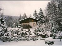 Villa in vendita a Pinzolo(TN)