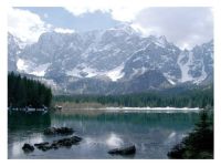 Palazzo / Stabile in vendita a Tarvisio(UD)