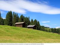 Rustico / Casale in vendita a San Pancrazio(BZ)