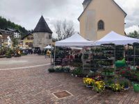 Immobile in vendita a Tarvisio(UD)