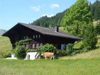 Aerneli, Chalet