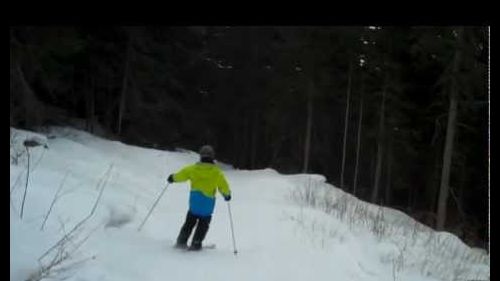 Skiing in the woods of Folgarida