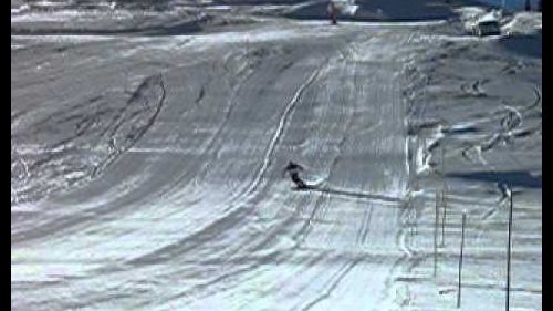 foligno un cammello sulla neve di cervinia