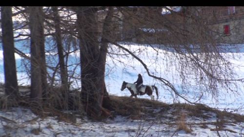 A cavallo a livigno - inverno 2014/2015