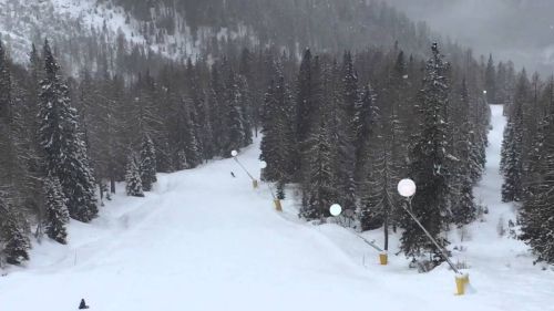 Ciaspolata a Temù -Val d'Avio con il CAI di Muggiò HD