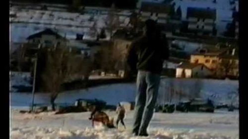 cavalli sulla neve 1997