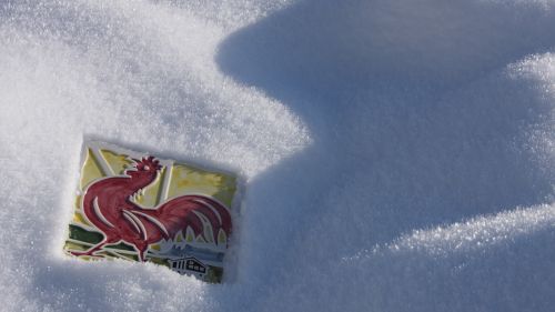 Il Gallo Rosso, il biglietto da visita di un Agriturismo in Alto Adige