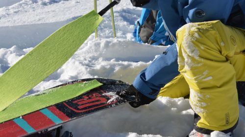 Pelli di Foca per la Splitboard