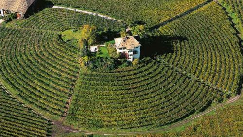 Il Törggelen? In Alto Adige si festeggia lungo il "Sentiero del castagno"