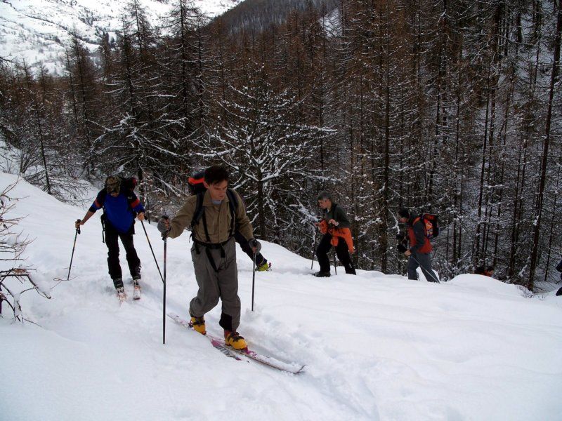 il bosco sopra Bousson