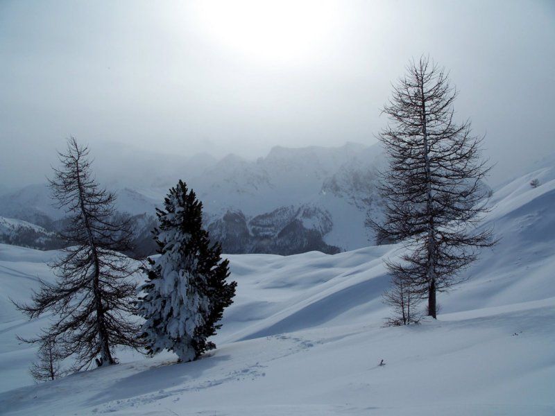 paesaggio verso il col bousson