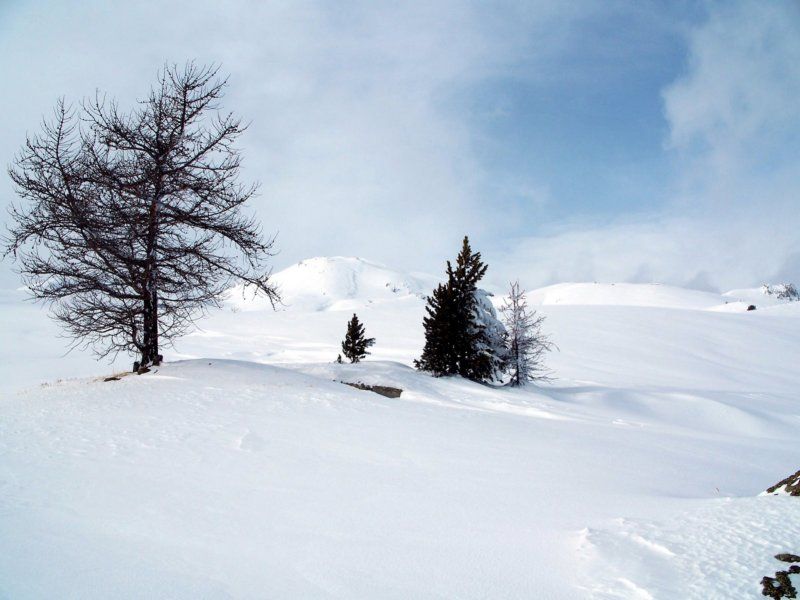 la cima saurel sullo sfondo