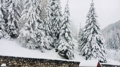 Le Valli Alpine pronte per l'inizio della stagione sciistica. Dai 10 agli 80 cm di neve in quasi tutte le valli