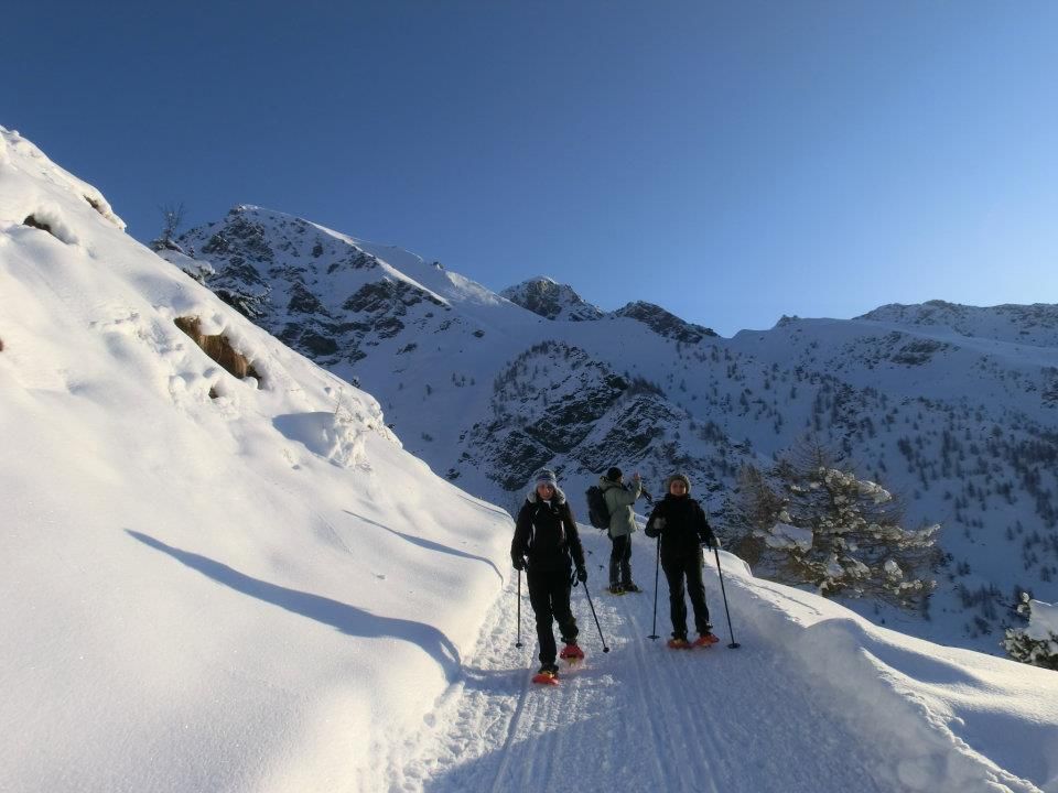 Una bella camminata nel Parco fino al Rifugio Selleries