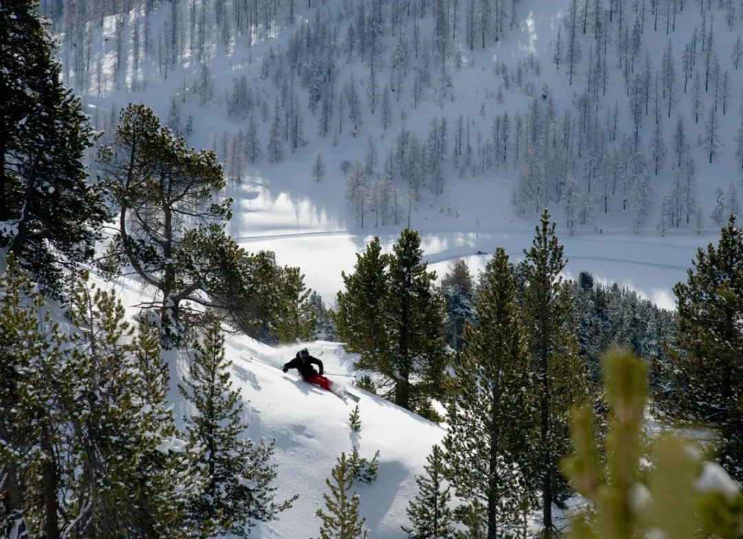 Freeride in Montgenèvre