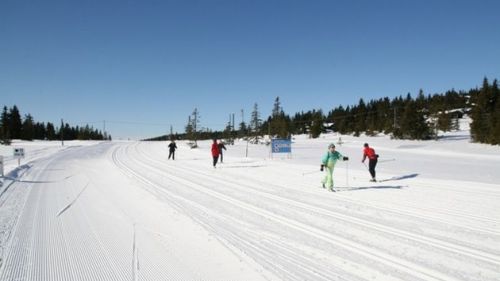 sjusjoen