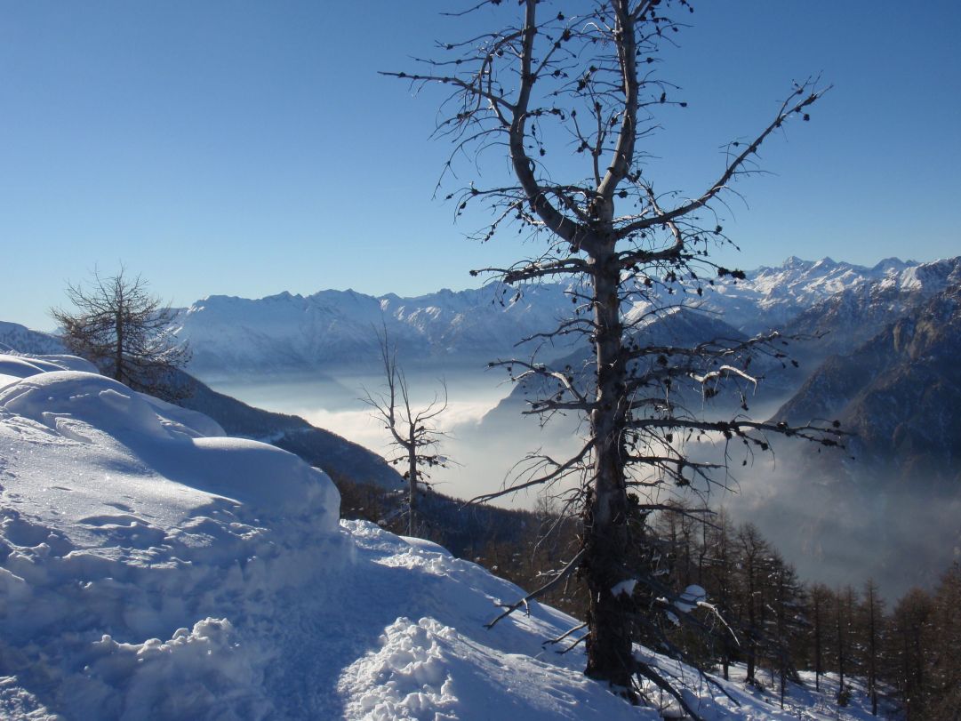 Coumarial - Valle di Gressoney