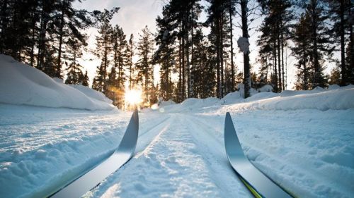 Ski-pass a basso costo: La proposta di Lavarone Ski per sconfiggere la crisi