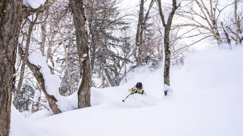 Dolomiti Superski adotta il progetto Recycle Your Boots di Tecnica Group per il riciclo degli scarponi da sci.