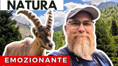 Santa Caterina Valfurva in Estate: Ghiacciaio dei Forni, passo Gavia