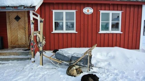 27 giorni, 600 Km attraverso l'inverno Artico con gli sci di legno Kastelaar