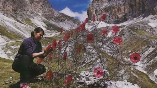 Dolomia Art, una rassegna d'arte all'aria aperta sulle Dolomiti