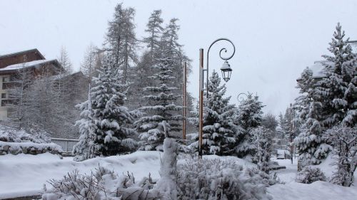 Torna l'inverno anche se per poco. Neve fino al piano