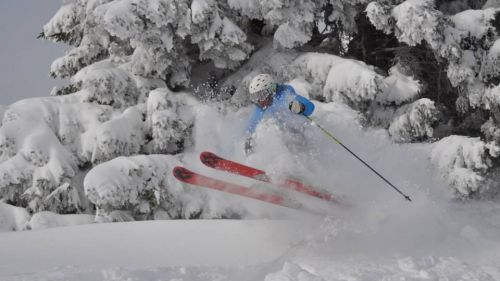 Tutti pazzi per la neve fresca, ma attenzione alle insidie