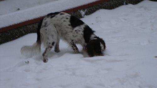 La mia prima volta sulla neve