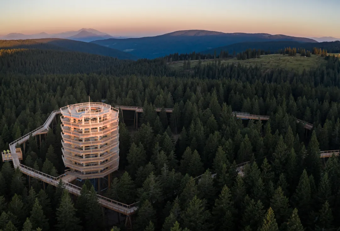 “The Tree Top Walk” la nuova spettacolare passeggiata che domina le montagne slovene