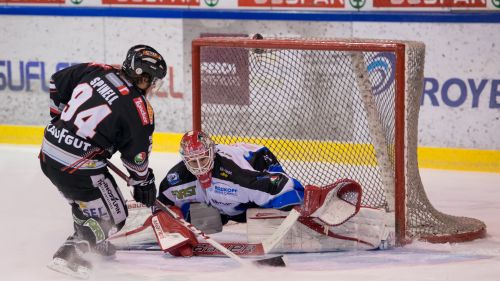 ELITE A ITAS CUP: anticipo diciottesima giornata. Il Renon batte il Vipiteno e raggiunge in vetta l'Asiago