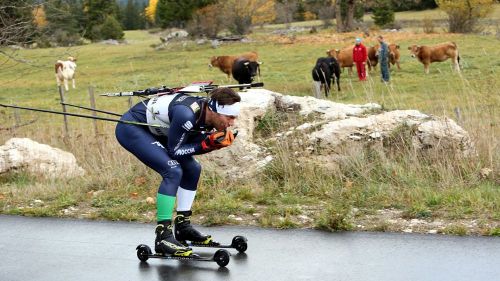 Fortuna che queste mucche non pascolano vicino al poligono