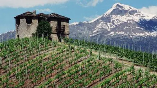 Valle d'Aosta DOC: un nome per un panorama vinicolo variegato