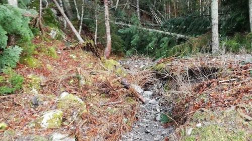 Il maltempo dei giorni scorsi ha colpito anche la zona di Forni Avoltri: tutte le foto esclusive che testimoniano la devastazione nella zona della Carnia Arena