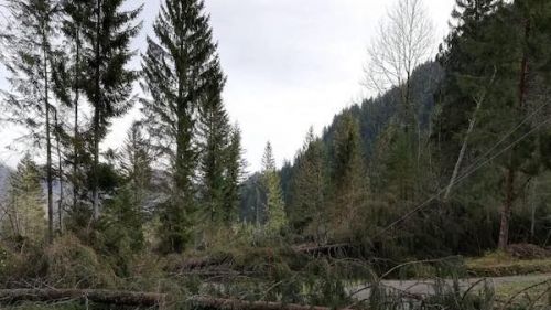 Il maltempo dei giorni scorsi ha colpito anche la zona di Forni Avoltri: tutte le foto esclusive che testimoniano la devastazione nella zona della Carnia Arena