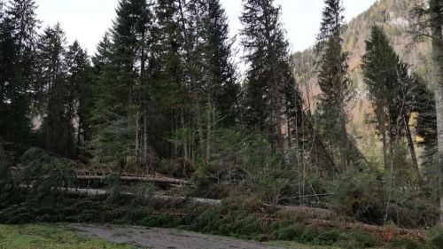 Il maltempo dei giorni scorsi ha colpito anche la zona di Forni Avoltri: tutte le foto esclusive che testimoniano la devastazione nella zona della Carnia Arena