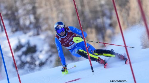 due pett rossi alice