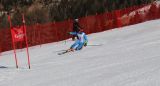 Telemark