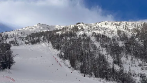 Whatsapp image 2026 01 28 at 130258