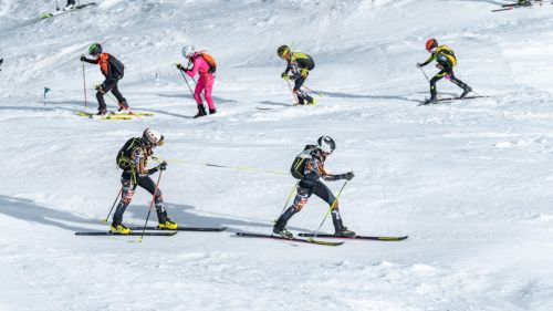Pubblicati dalla FIS i calendari provvisori della CdM di salto: partenza da Lillehammer per i due circuiti
