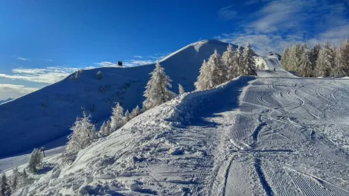 Dalle Piste Domobianca