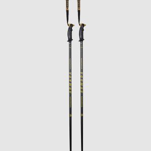 Prezzi Armada triad bb 2025 ski poles gold