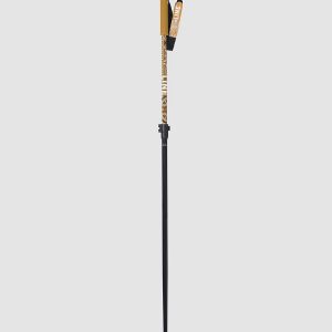 Prezzi Line paintbrush telescopic poles design