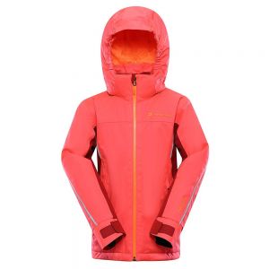 Prezzi Alpine pro giacca gaeso