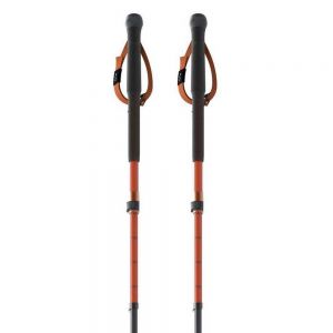 Prezzi One way bastoncini tr carbon vario x