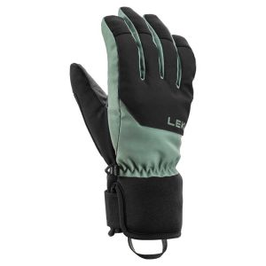 Prezzi Leki alpino guanti bird goretex