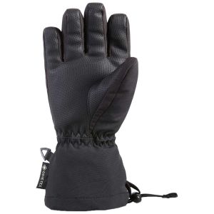 Prezzi Dakine guanti avenger goretex