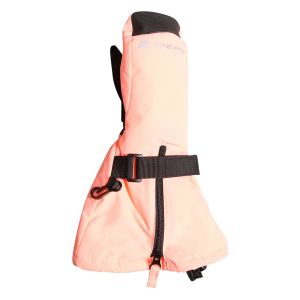 Prezzi Alpine pro muffola ski